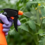 Як захистити рослини від шкідників